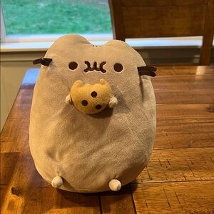 Pusheen Stuffy